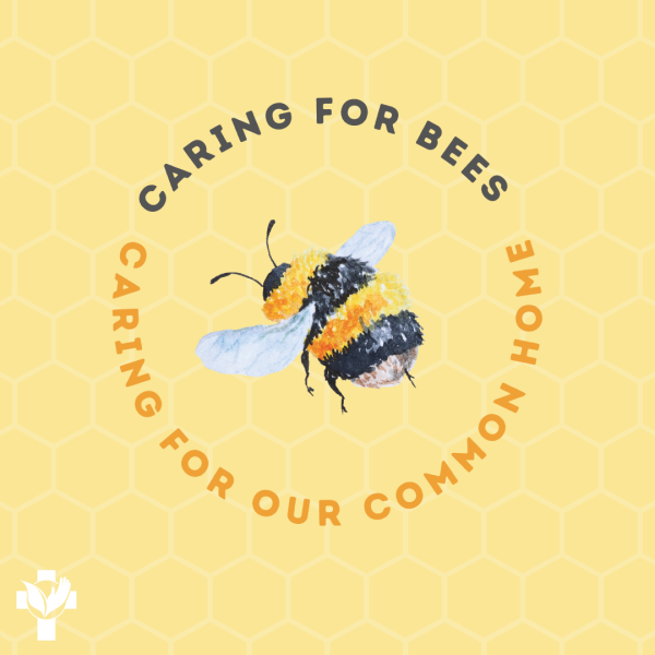 Beekeeping Blog Instagram